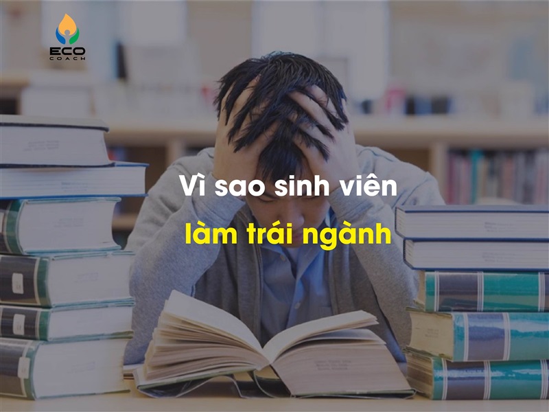 Làm trái ngành - câu chuyện thường gặp của sinh viên